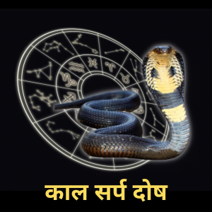 Kaal Sarp Dosh Puja